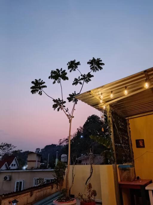 Casa Zoila Hospedaje Frente Al Lago Lakefront Lodging Διαμέρισμα Flores Εξωτερικό φωτογραφία